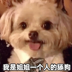 示例图片